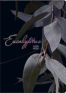 Notizbuch A5 Eucalyptus