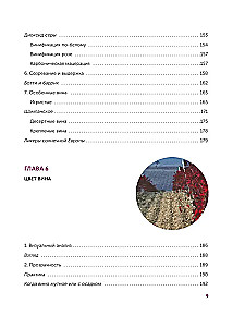 Wein. Geschichte, Sorten, Herstellung, Verkostung, Traditionen