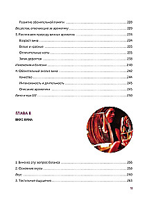 Wein. Geschichte, Sorten, Herstellung, Verkostung, Traditionen