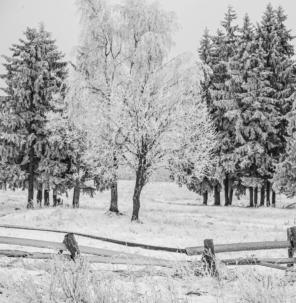 Monochrom. Durchdringende Schönheit Russlands in Schwarz-Weiß-Fotografien von Ivan Dementievski