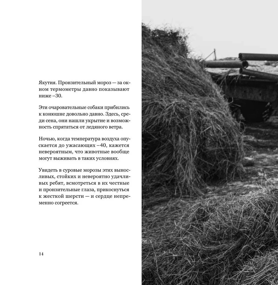 Monochrom. Durchdringende Schönheit Russlands in Schwarz-Weiß-Fotografien von Ivan Dementievski