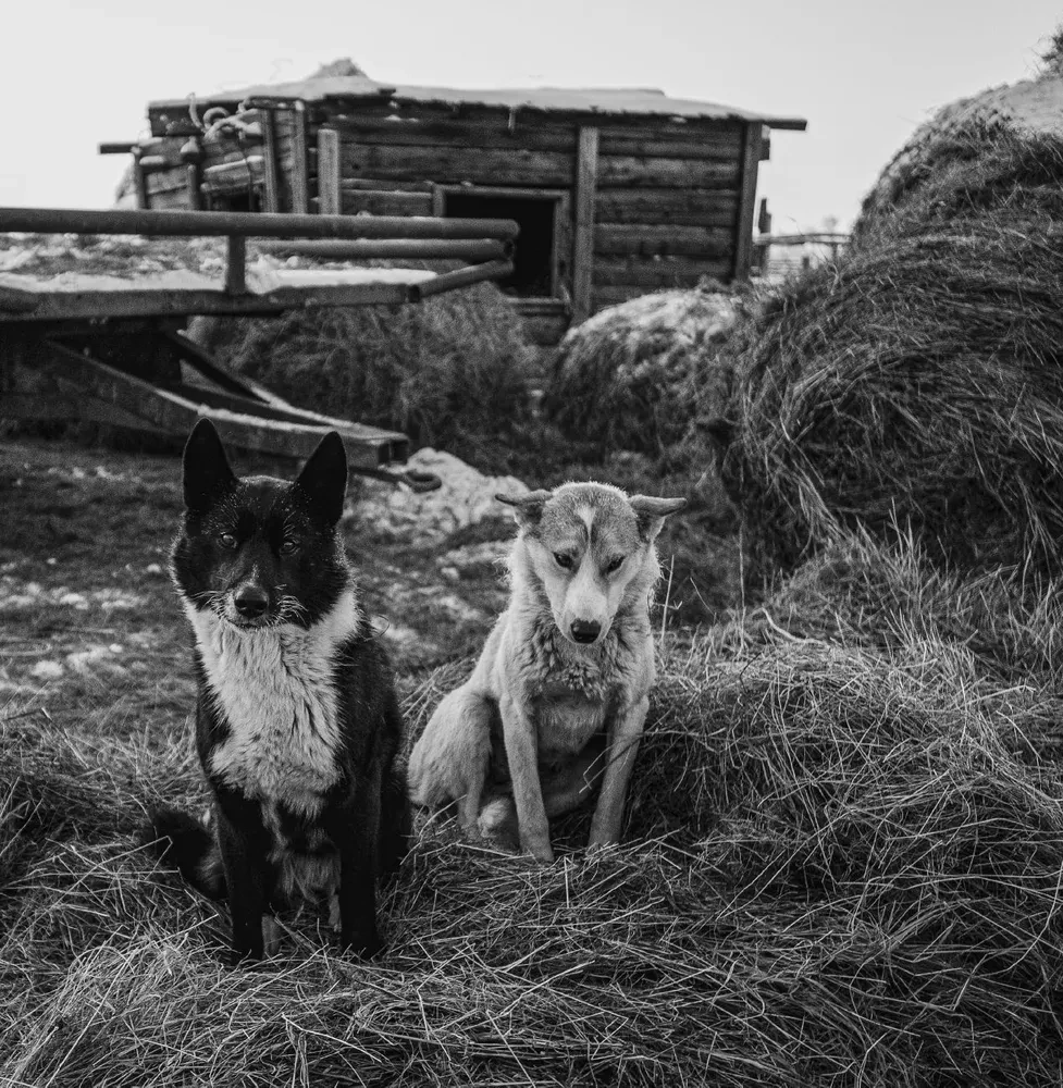 Monochrom. Durchdringende Schönheit Russlands in Schwarz-Weiß-Fotografien von Ivan Dementievski