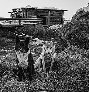 Monochrom. Durchdringende Schönheit Russlands in Schwarz-Weiß-Fotografien von Ivan Dementievski