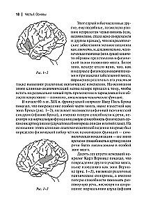 Клинические исследования в нейропсихоанализе