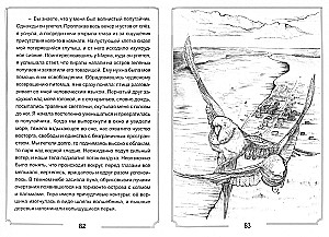 Insel der grünen Papageien