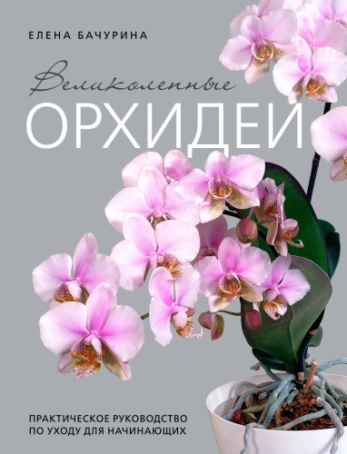 Wunderschöne Orchideen. Praktisches Pflegehandbuch für Anfänger