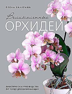 Wunderschöne Orchideen. Praktisches Pflegehandbuch für Anfänger