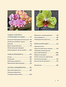 Wunderschöne Orchideen. Praktisches Pflegehandbuch für Anfänger