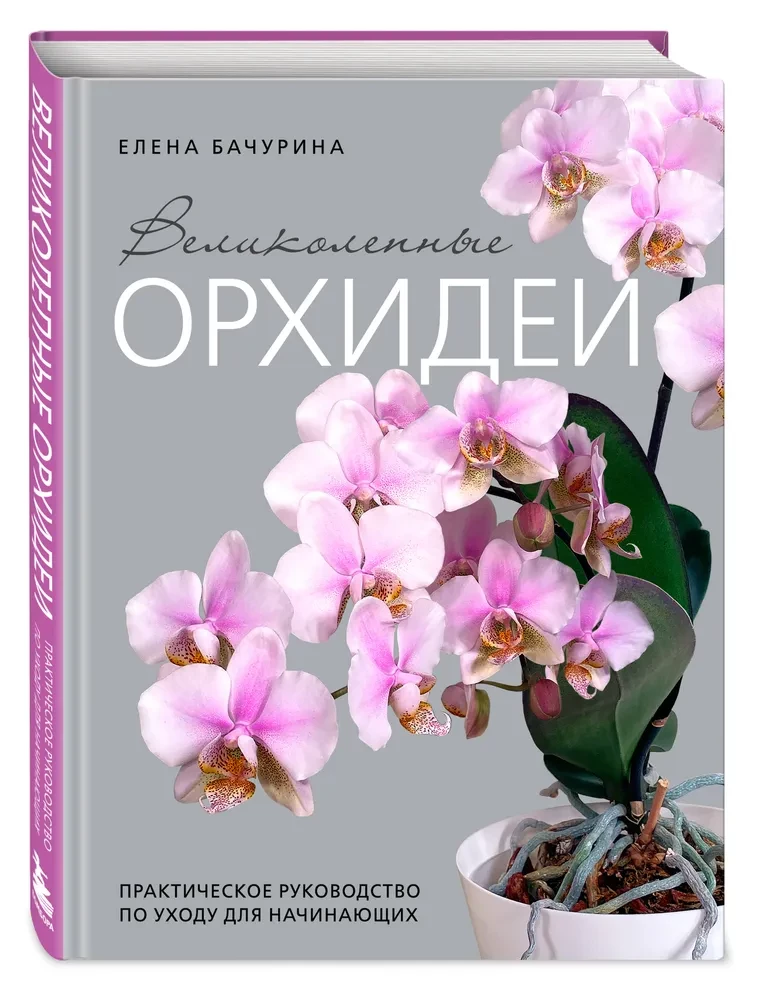 Wunderschöne Orchideen. Praktisches Pflegehandbuch für Anfänger