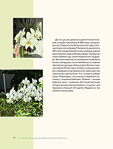 Wunderschöne Orchideen. Praktisches Pflegehandbuch für Anfänger