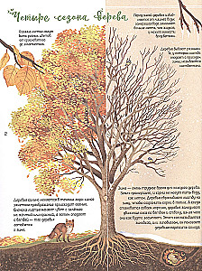 Enzyklopädie der Bäume der Welt