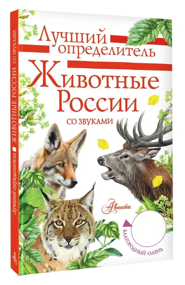 Tiere Russlands mit Geräuschen. Bestimmungsbuch