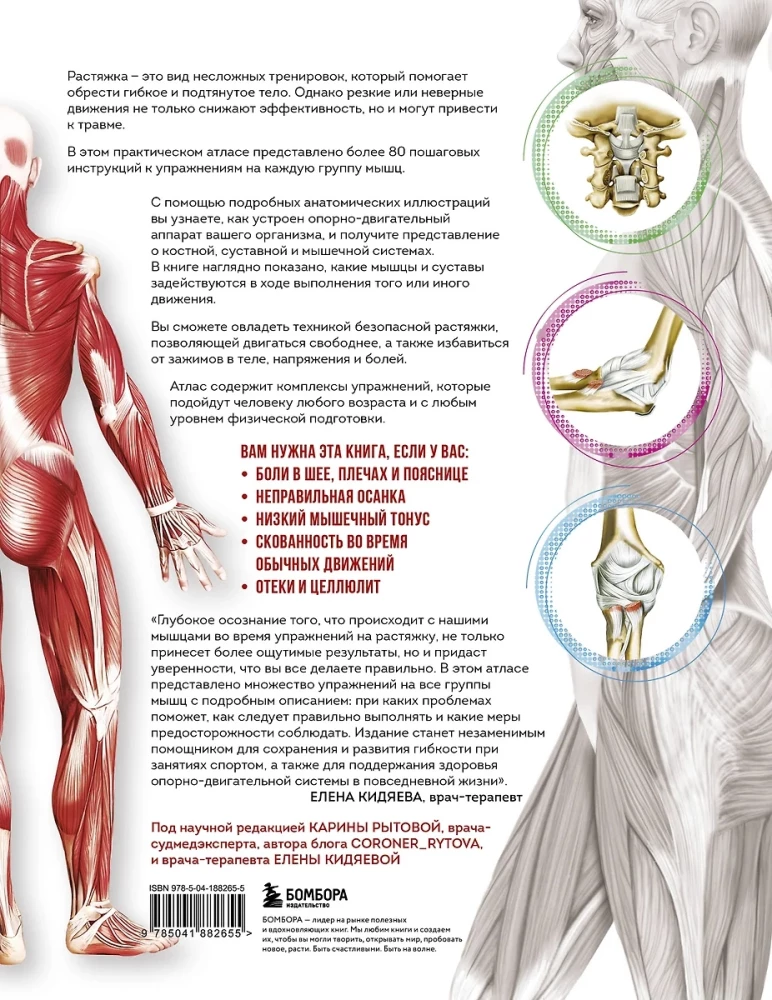 Anatomie der Dehnung. Illustriertes Handbuch zur Entwicklung der Muskulatur und Gelenkbeweglichkeit