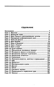 Religion der alten Kelten. Magische Rituale und heidnische Kulte des geheimnisvollsten Volkes Europas