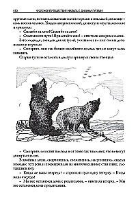 Чудесное путешествие Нильса с дикими гусями